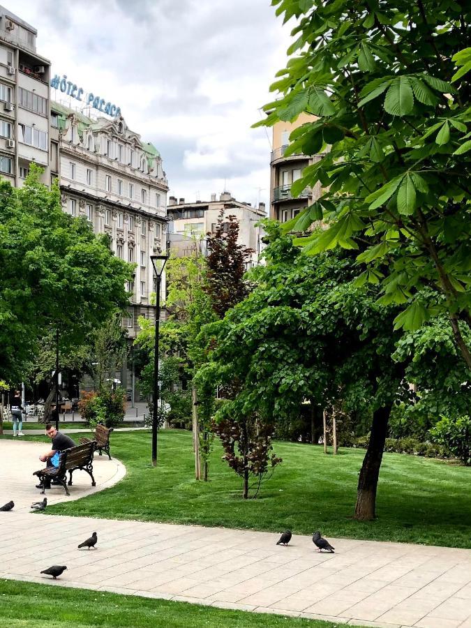 Apartment Enigma Belgrad Exteriör bild